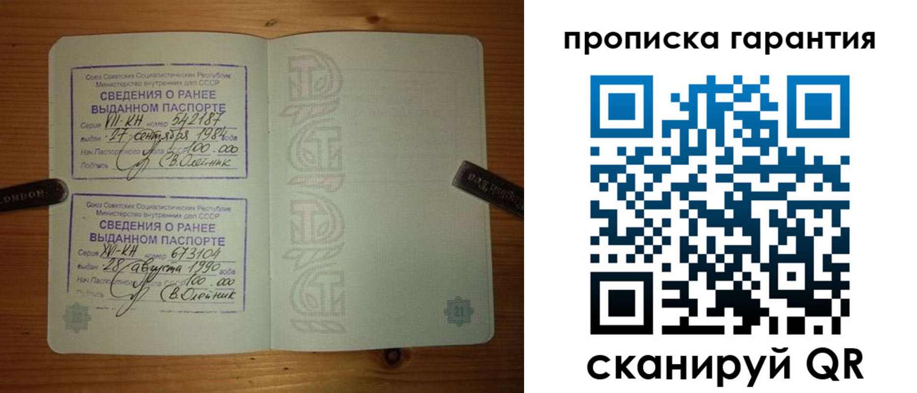 где прописаться в Елизово